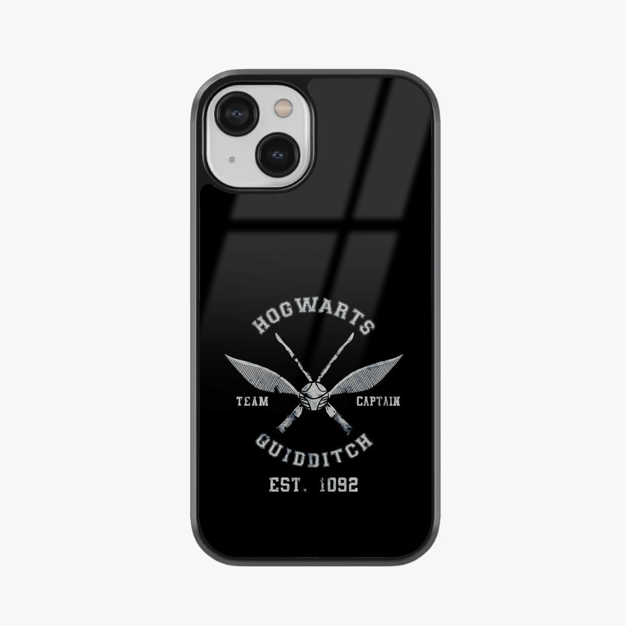 Hogwarts Quidditch Team Captain Glass Case